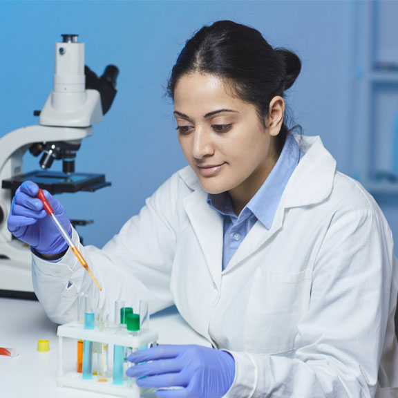 portfolio image five